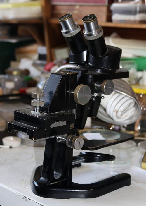Mikroskopas, Dideja, Laboratorija