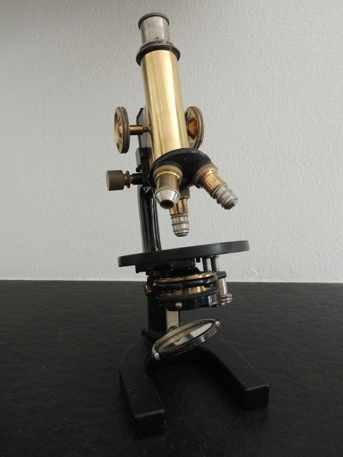 Mikroskopas, Laboratorija, Senovės