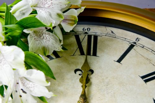 Gėlės,  Vidurnaktis,  Paminklas,  Metafora,  Laikas,  Laikrodis,  Daugiau,  Vidurnaktis