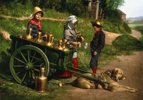 Pienas, Krepšelis, Fotochromas, 1890, Šuo, Medžiotojas