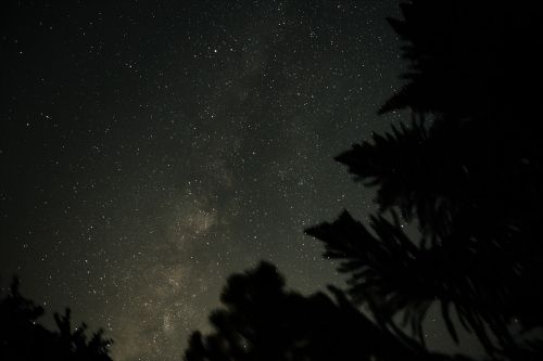 Paukščių Takas, Medžiai, Erdvė, Naktis, Žvaigždės