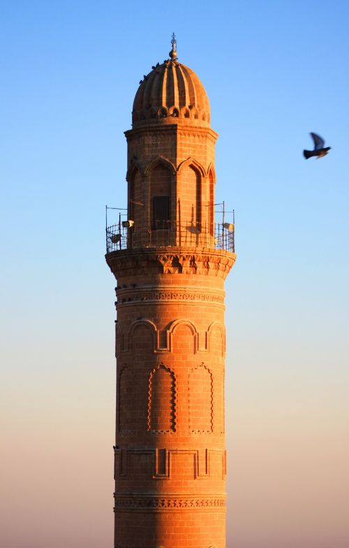 Minaretas, Cami, Paukštis, Balandis, Mardin, Turkija, Architektūra, Artimieji Rytai, Religija, Istorinis Miestas