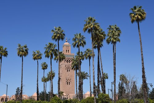 Minaretas,  Palmės,  Kelionė,  Architektūra,  Mėlynas Dangus,  Religija