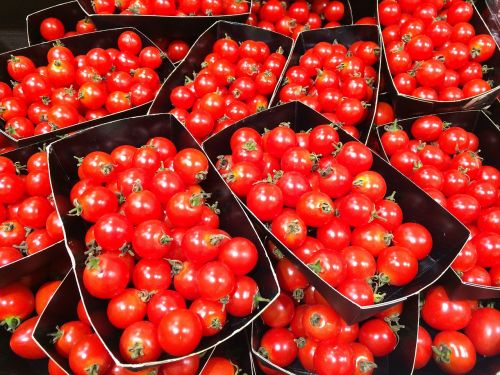 Mini Pomidorų, Oranžinė, Raudona, Patiekalas, Gyvas, Daržovės, Departamentas, Universalinė Parduotuvė, Saikaya, Maistas, Šviežias, Yokosuka, Japonija