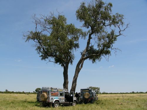 Misija, Nuotykis, Land Rover, Kelionė, Nuotykių Pasauliai De, Wolfgang Bagheri, Afrika, Botsvana, Safari, Okavango Delta