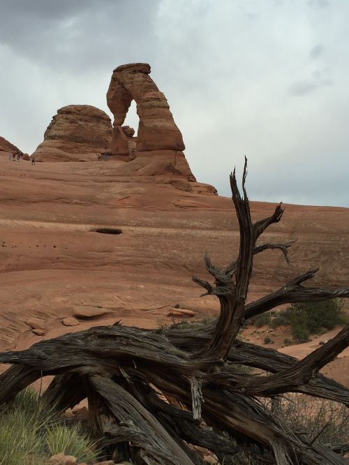 Moab, Kraštovaizdis, Lauke