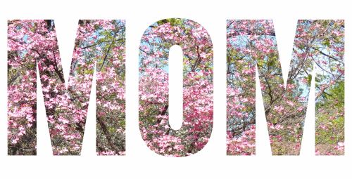 Mama,  Sluoksniuota,  Gėlės,  Motinos Dienos & Nbsp,  Gimtadienis,  Pasveikinimas,  Diy,  Kortelė,  Motina,  Mama,  Mama Žodis Sveikinimui