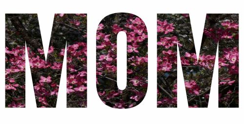 Mama,  Sluoksniuota,  Gėlės,  Motinos Dienos & Nbsp,  Gimtadienis,  Pasveikinimas,  Diy,  Kortelė,  Motina,  Mama,  Mama Parašyta Sveikinimui