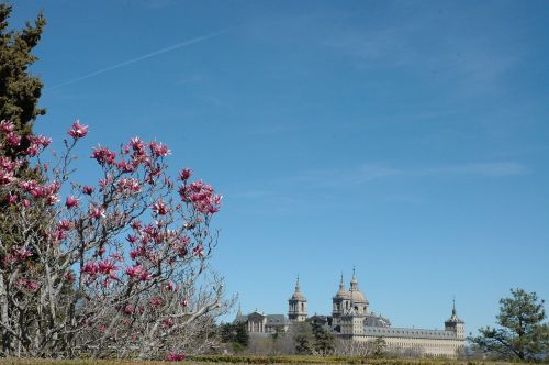 Vienuolynas, El Escorial, Gėlė, San Lorenzo, Architektūra, Kraštovaizdis, Sąvartynas, Paveldas