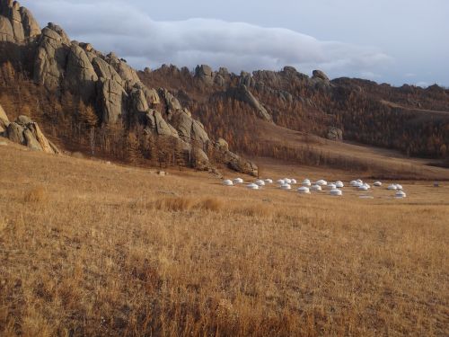 Mongolija, Nacionalinis Parkas, Stepė, Ruduo, Auksas, Rudas Auksas Rudas, Yurt, Eng, Кочевники, Gamta, Gamtos Rezervatas
