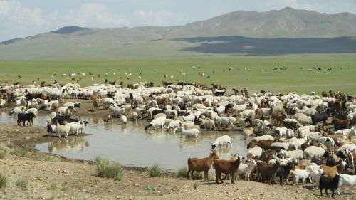 Mongolija, Yangttae, Klebonų