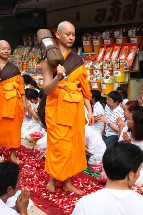 Vienuolis, Budistų Vienuolis, Vaikščioti, Rožių Žiedlapiai, Tailandas, Wat, Phra Dhammakaya, Šventykla, Dhammakaya Pagoda, Daugiau Nei, Milijonai, Budhas, Auksas, Budizmas