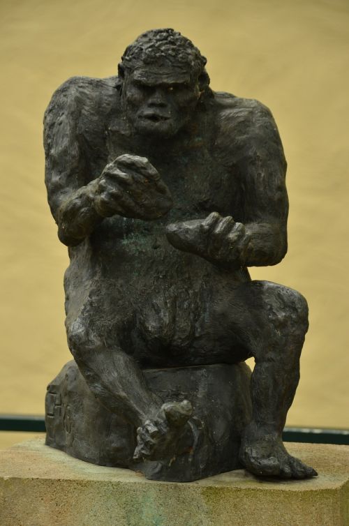 Beždžionė, Vyras, Apemanas, Evoliucija, Plėtra, Vaizdas, Statula