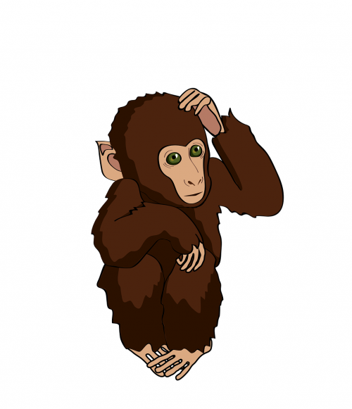 Beždžionė, Marmoset, Galvoti, Nemokama Vektorinė Grafika