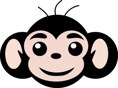 Beždžionė, Paprasta Beždžionė, Beždžionė