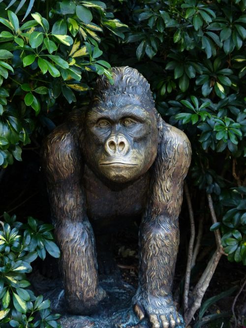 Beždžionė, Bronzos Statula, Figūra, Gyvūnas, Ape, Šimpanzė