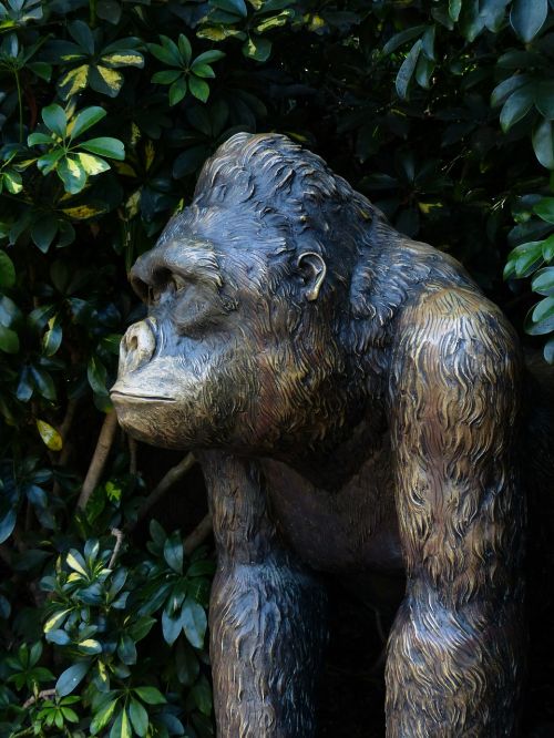 Beždžionė, Bronzos Statula, Figūra, Gyvūnas, Ape, Šimpanzė