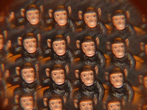 Beždžionė, Kaleidoskopas, Menas