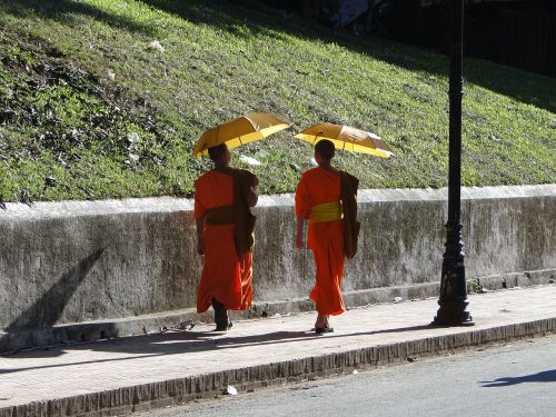 Vienuoliai, Laosas, Budizmas