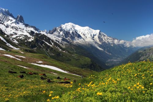 Mont Blanc, Kelionė Mont Blanc, Alpės, Migracija, Pasivaikščiojimas, Kalnas, Kraštovaizdis, Natūralus