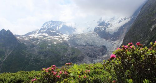 Mont Blanc, Kelionė Mont Blanc, Alpės, Migracija, Pasivaikščiojimas, Kalnas, Ledynas, Kraštovaizdis, Natūralus