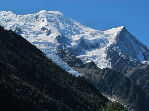 Mont Blanc, Ledynas, Alpių