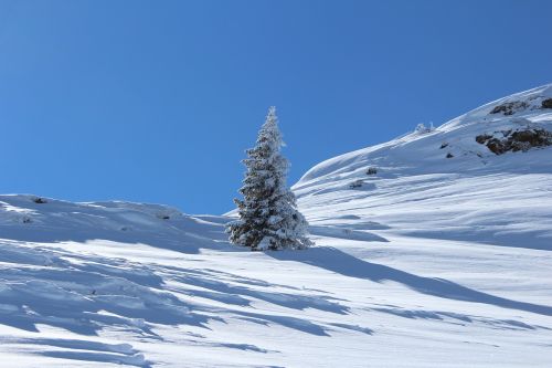 Montafon,  Gaschurn,  Austria,  Medis,  Eglė,  Sniegas,  Kalnas