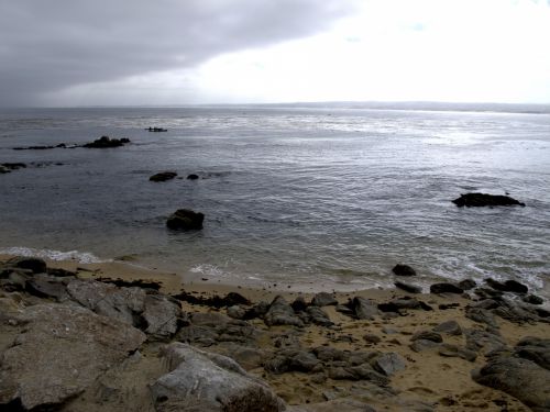Monterėjus,  Papludimys,  Audra,  Griuvėsiai,  Jūros Dumbliai,  Monterey Paplūdimys Po Audros