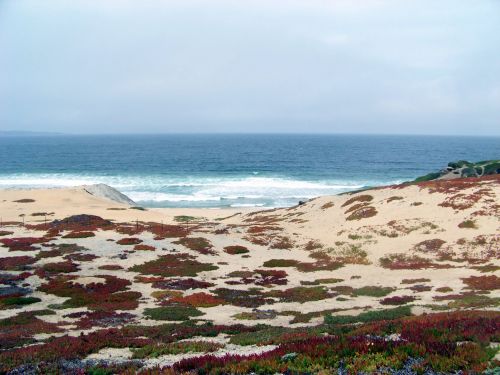 Smėlis,  Papludimys,  Bangos,  Vandenynas,  Kalifornija,  Monterėjus,  Monterey Paplūdimys