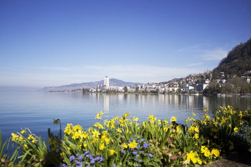 Montreux, Swiss, Šveicarija, Ežeras, Vasara, Europa, Gamta, Vanduo, Vaizdas, Kraštovaizdis, Dangus, Gėlė, Riviera, Promenada, Kelionė, Atostogos, Ežeras