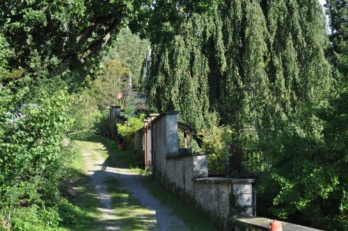 Nuotaika, Gamta, Šviesus, Saulės Šviesa