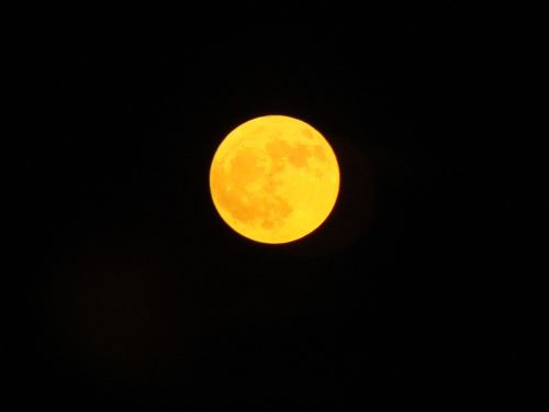 Mėnulis, Gintaro Mėnulis, Derliaus Mėnulis