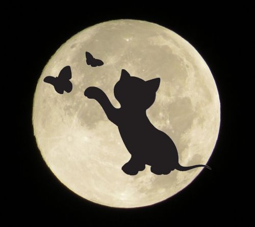 Mėnulis, Katė, Siluetas