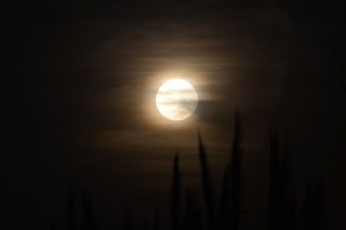 Mėnulis, Naktis, Naktinis Peizažas