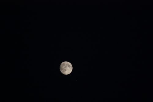 Mėnulis, Naktis, Pilnatis