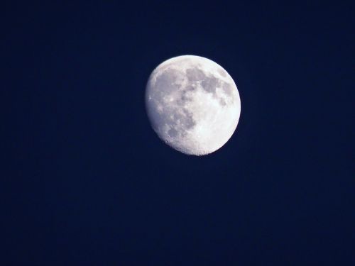 Mėnulis, Dangus, Naktis, Naktinė Nuotrauka