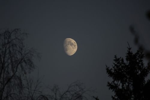 Mėnulis, Naktis, Nikon, Vasara