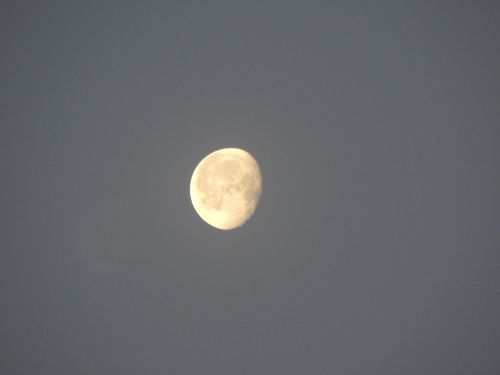 Mėnulis, Rytas, Vakaruose, Vaizdas, Dangus