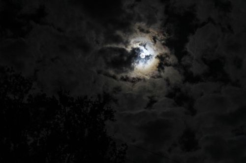 Mėnulis, Naktis, Dangus, Mėnulio Šviesa, Lauke, Natūralus, Tamsi, Uganda, Kampala, Afrika, Fotografija