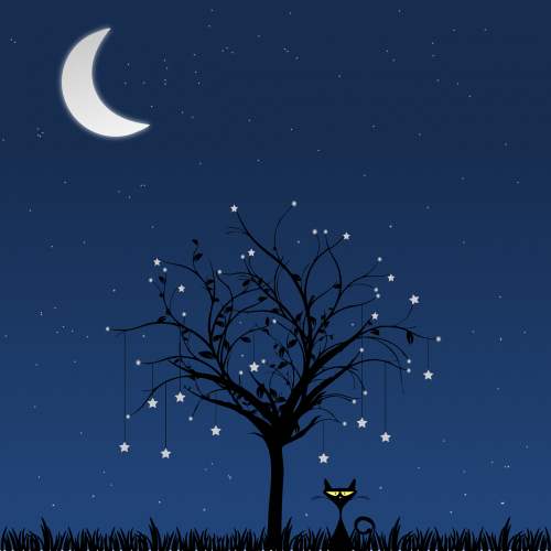 Mėnulis, Medis, Katė, Naktis, Žvaigždė