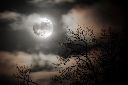 Mėnulis, Dangus, Saulėlydis, Dusk, Gamta, Tamsi, Siluetas, Vakaras, Debesis, Halloween