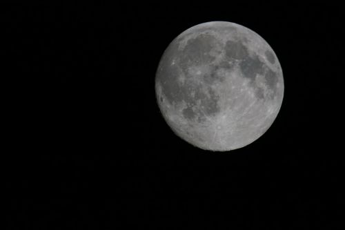 Mėnulis,  Astronomija,  Luna,  Mėnulis,  Be Honoraro Mokesčio