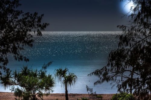 Mėnulio Šviesa, Romantiškas Paplūdimys, Šilta Naktis