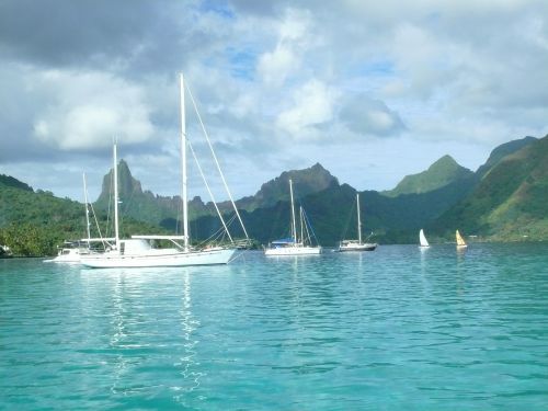 Moorea,  Tahiti,  Buriavimas,  Valtis,  Moorea