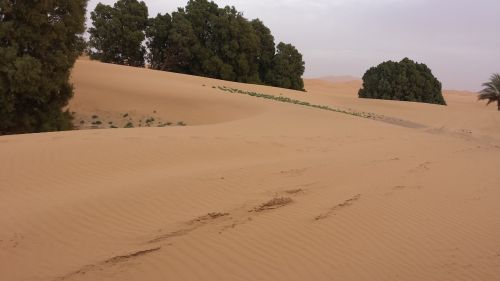 Marokas, Dykuma, Smėlis, Marroc
