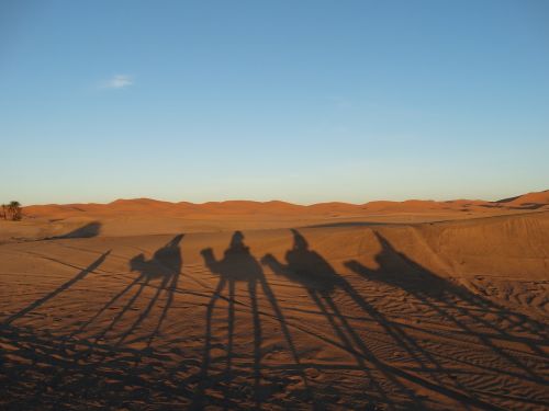 Marokas, Dykuma, Smėlis, Kupranugaris, Kelionė