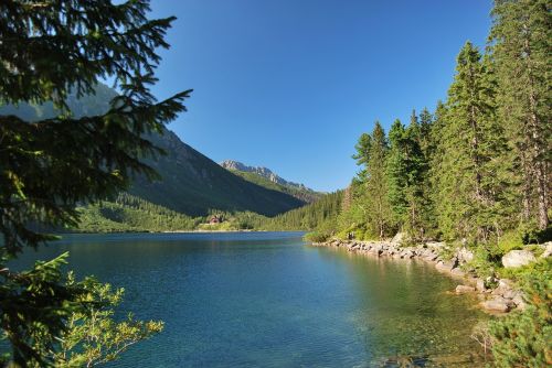 Morskie Oko, Tatry, Lenkų Tatros, Aukštas Tatras, Ežeras, Pušis, Spygliuočiai, Gamta, Vasara