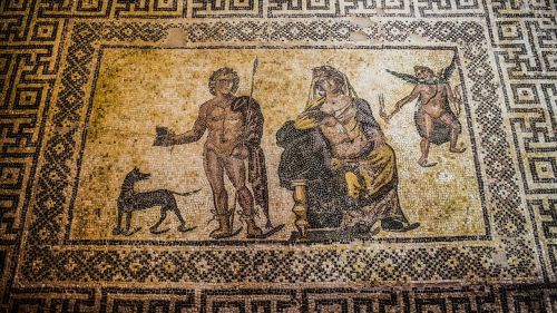 Mozaika, Grindų Mozaika, Išlieka, Senovės, Archeologija, Civilizacija, Ekskursijos, Paveldas, Archeologinis Parkas, Paphos, Kipras