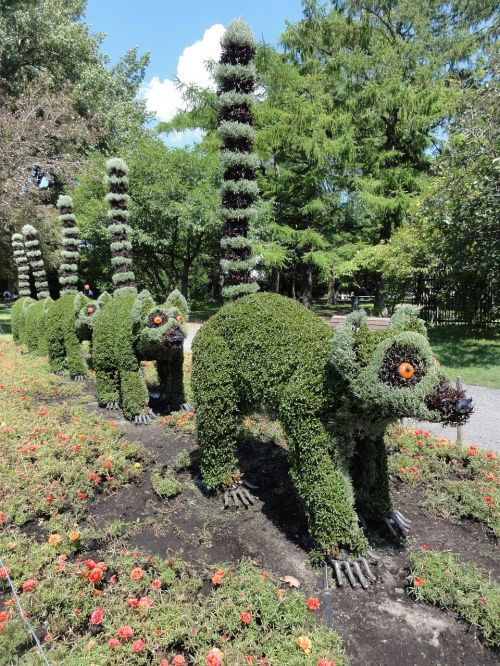 Mosaiculture Montreal, Gyvūnas, Augalas