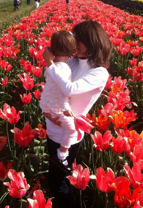 Motina, Vaikas, Gėlės, Tulpės, Dukra, Kūdikis, Berniukas, Ūkis, Oregonas, Tulpė